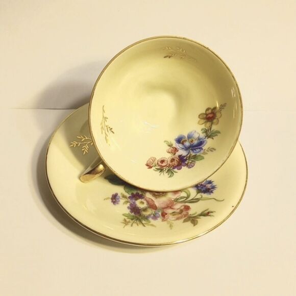 Vintage Floral Tea Cup and Saucer Schruarzenhammer Germany - Picture 1 of 9